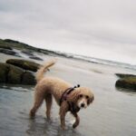 Sofia Wylie Instagram – ‘22 film