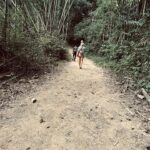 Sofie Linde Instagram - In the jungle 🫶🏼