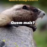 Solange Gomes Instagram - Eu e muitos, né não? 🤦🏻‍♀️🤓😩