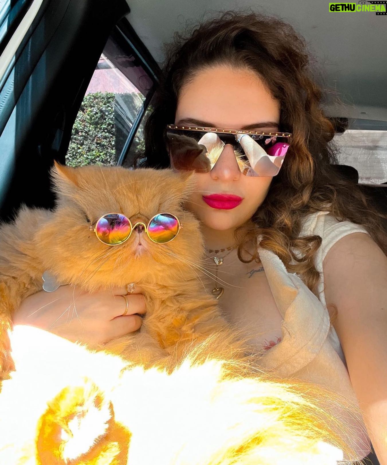 Solange Gomes Instagram - Dois amores em uma foto. É muita lindeza. @stephaniegomees e @erosesnow #filha #amordemãe #cats #persa