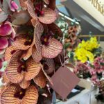 Solange Gomes Instagram - Hoje estive no shopping @villagemall e fui conhecer de pertinho a @maisondelorchidee.br da maravilhosa jornalista e empresária @claudia_ccruz Se vocês assim como eu, são apaixonadas por orquídeas permanentes, essas são especiais, pois todos os arranjos são criados por @claudia_ccruz #arquitetura #designerdeinteriores #orquideas