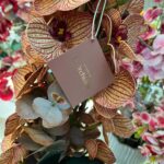 Solange Gomes Instagram - Hoje estive no shopping @villagemall e fui conhecer de pertinho a @maisondelorchidee.br da maravilhosa jornalista e empresária @claudia_ccruz Se vocês assim como eu, são apaixonadas por orquídeas permanentes, essas são especiais, pois todos os arranjos são criados por @claudia_ccruz #arquitetura #designerdeinteriores #orquideas