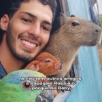 Solange Gomes Instagram – Em um mundo cheio de perversid@des, onde estamos exaustos de assistir cenas cruéis entre os humanos, o amor puro e sem interesses de um homem trabalhador pelos animais, incomodou. @agenor.tupinamba querido, assim como você, sou apaixonada pelos animais, eles são as melhores pessoas. Este vídeo seu é encantador e mostra que a Filo era amada e vivia livre, mas protegida por você da mald@de humana. #voltafilo O melhor lugar do mundo é onde está o amor verdadeiro. #voltafiló