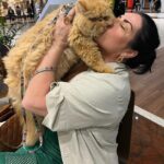 Solange Gomes Instagram – Domingo de passeio no shopping com o meu neto de pelo Eros. A vovó ama. #cats #gato #gatopersa ♥️🫶🏼🐱