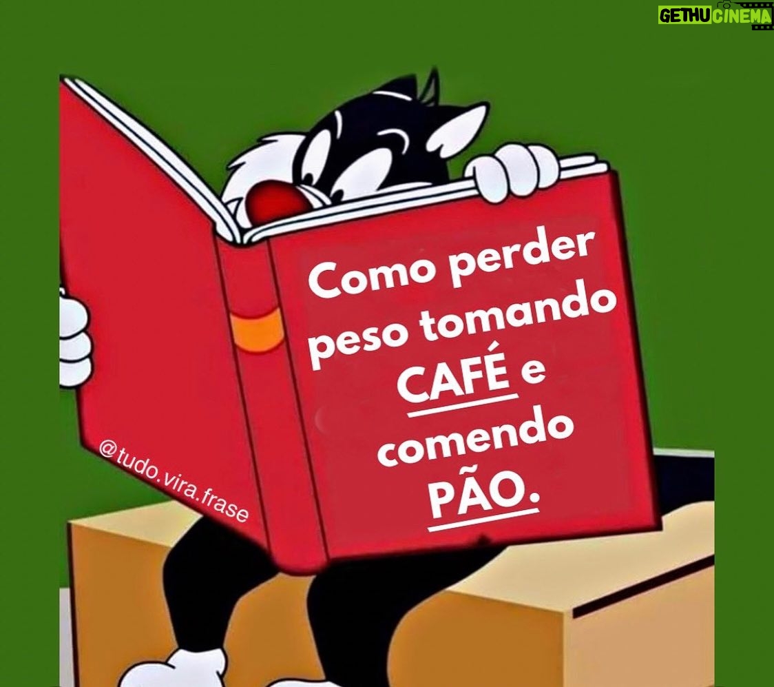 Solange Gomes Instagram - Né possível, tem que haver um jeito! Tamo junto, Frajola! Meu pãozinho… 🤦🏻♀️🥹😢🍞🥖🥪