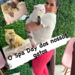 Solange Gomes Instagram - Vem conhecer comigo mais um espaço feito especialmente para o seu pet @petcenterrj #pet #dogs #cats #cães #gatos 🐈🐶🐕🐩