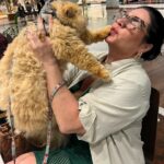 Solange Gomes Instagram – Domingo de passeio no shopping com o meu neto de pelo Eros. A vovó ama. #cats #gato #gatopersa ♥️🫶🏼🐱
