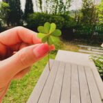 Son Ye-jin Instagram - 드디어!! 찾았어요!!!!!🙊 인생 첫 네잎클로버🍀 행운을 나눠 드릴께요💓 오예에에에😆