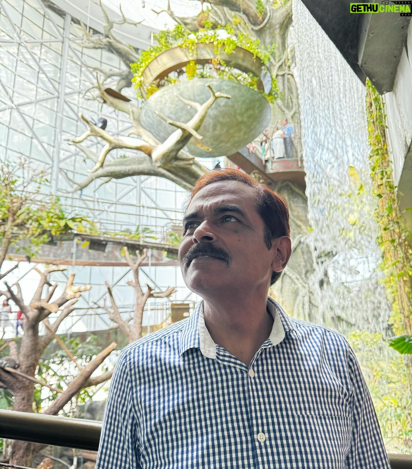 Sonal Kaushal Instagram - The Final Day Day 8 Dubai 2023 Green Planet #dubai2023 #familyvacation