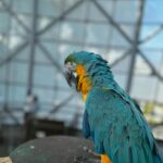 Sonal Kaushal Instagram - The Final Day Day 8 Dubai 2023 Green Planet #dubai2023 #familyvacation