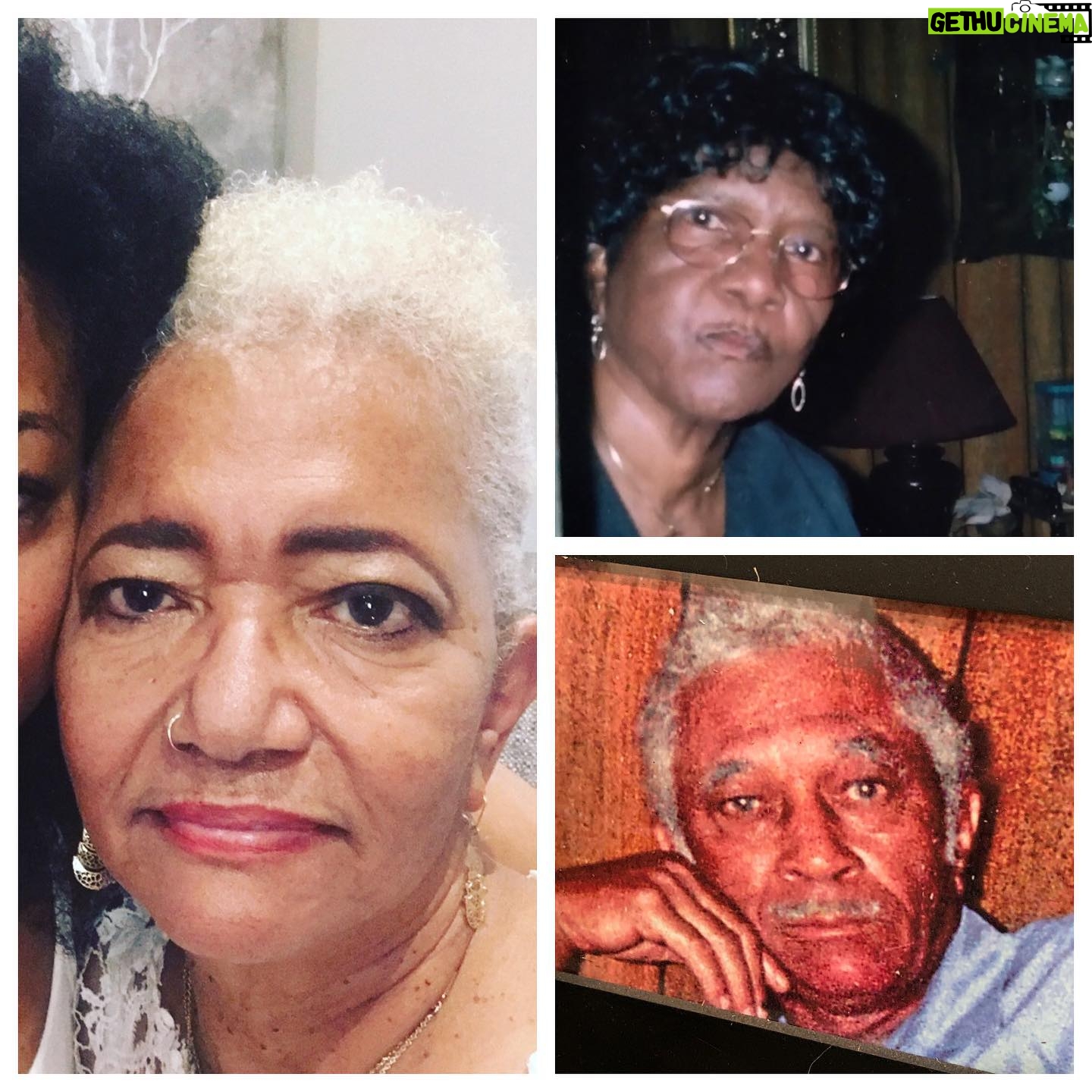 Sonequa Martin-Green Instagram - A great friend of mine made a post this month about acknowledging what Black history lives in our own homes. What stories, trials, pains and victories are held in the memories of our family members. This was really inspiring to me because I often look outside of myself and my recent history to celebrate Black experiences and contributions to this country. (Thank you so much for that @alyshiasheree ♥️) My Mama, Daddy, and their parents all made everything out of NOTHING. My maternal grandmother picked cotton as a child and was a domestic worker for many years. A lady at the grocery store once said when I was a kid, proudly even, “Your granny sure knew how to pick cotton!” My paternal grandfather was a war veteran, there’s no telling what he endured. My Daddy was told as a child never to “look a White man in the eye.” He was moved by Malcolm X so much as a young man that he joined the Fruit Of Islam Guard in the Nation of Islam. My Mama’s senior year of high school was the year public schools were integrated in my hometown. My parents drank from the “Colored Only” water fountains, were denied access to public places, only went in the back doors, and were forced to sit in the rafters. And I know there are wrenching stories my grandparents never even told. This is where I come from. I salute and celebrate them. Their history is Black history is my history is our history. “A people without the knowledge of their past history, origin and culture, is like a tree without roots.” - Marcus Garvey ———————— #blackhistorymonth