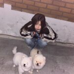 Song Ha-young Instagram - 멍🐶