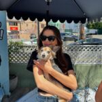Sonia Ammar Instagram – Go volunteer at your local shelter or rescue! It will be the most rewarding experience of your life, I promise! People don’t realize how bad the shelter crisis (esp in California) 😢 So grateful to @westlasheltervolunteers volunteers for the incredible work they do & @itsyogishouse for rescuing so many dogs from the euthanasia list in overcrowded shelters 🐶🩵🪽

slide 2 – Oden is available to adopt at West LA shelter
slide 4 – Sparky is available at West LA shelter
slide 6 – Athena is available to adopt at West LA shelter
slide 7 – Max is available to adopt at @itsyogishouse