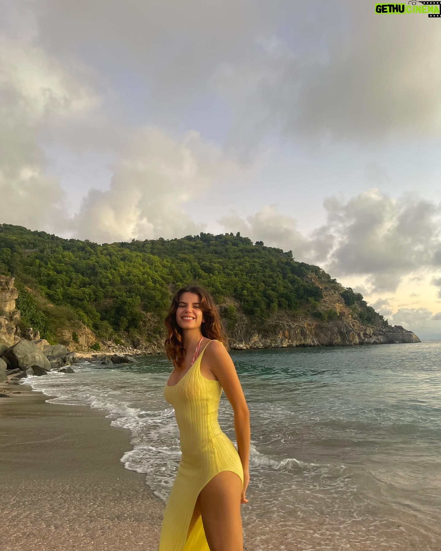 Sonia Ammar - 3 Likes - & it was all yellow