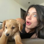 Sonia Ammar Instagram - Today has been ruff