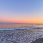 Sonia Ammar Instagram – Perks of working close to the beach
