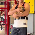 Sonu Sood Instagram - Pyare Mohan inspires me to workout harder 💪 🐕 #adopt #AdoptAStray #doglover