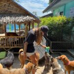 Sophia Thomalla Instagram - Während ich mich in den letzten Tagen mit Lügnern und schlechten Menschen befassen musste, befasse ich mich heute mal mit den Guten. Ich besuchte auf Einladung das Tierheim @dog_and_cat_rescue_samui ❤️ über 300 Hunde und 100 Katzen werden jeden Tag dort betreut. Es gibt täglich ärztliche Behandlungen, Strandspaziergänge, Versorgung und ganz viel Liebe! Was für tolle Leute! ❤️ Hab eine Spende dagelassen, Futter mitgebracht und eine Patenschaft übernommen. Timo (vorletztes Bild) ist mein neues Patenkind 🐶. Besucht und spendet gerne wenn ihr mal hier sein solltet! Die Tiere würden sich freuen