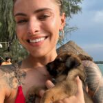 Sophia Thomalla Instagram - Making new friends 🥰🐶🐷🐔