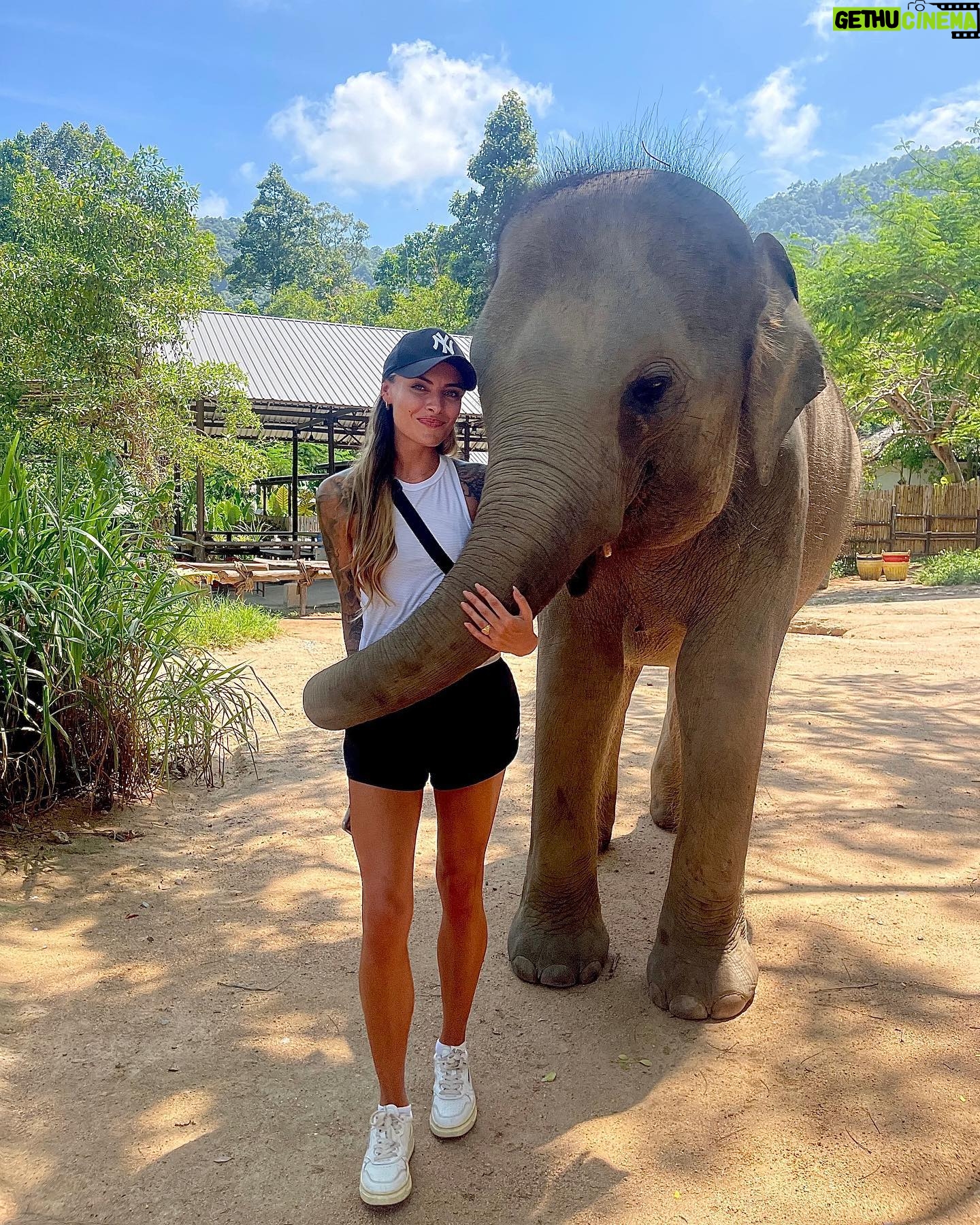 Sophia Thomalla Instagram - Eine Sanctuary für traumatisierte, isolierte und kranke Elefanten aus Koh Samui, die auch gehauen wurden 🥺💔 We are besties now 🥹🐘