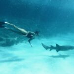Sophia Thomalla Instagram – Just a regular day in my business 🦈🦈