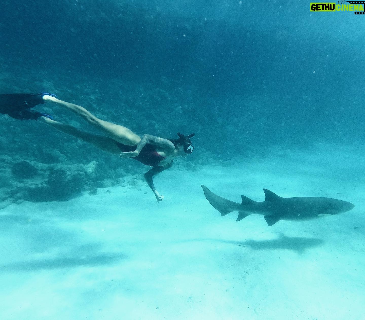Sophia Thomalla Instagram - Just a regular day in my business 🦈🦈