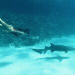 Sophia Thomalla Instagram – Just a regular day in my business 🦈🦈
