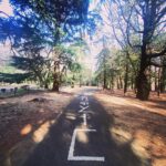 Sophia di Martino Instagram - Landed in a computer game