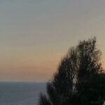 Sophia di Martino Instagram - Thank you so much to everyone who has been listening to my podcast, True Spies, from @SPYSCAPE Studios. All three episodes of the EXODUS trilogy are now available on Apple podcasts, or wherever you get your podcasts. Can’t wait for you to hear the story of this audacious mission. Learn how a group of rule-bending Mossad agents created an elaborate cover story to rescue thousands of asylum seekers, right from under the nose of oppressive authorities. Link in bio! #spyscape #truespies