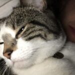Sophia di Martino Instagram - Today we said goodbye to the greediest, most stubborn, most incredibly cuddly cat I’ve ever met. We are heartbroken and will miss you very much, Dora. Sunbathe in peace little chunk. We love you. ♥️