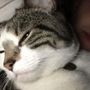 Sophia di Martino Instagram - Today we said goodbye to the greediest, most stubborn, most incredibly cuddly cat I’ve ever met. We are heartbroken and will miss you very much, Dora. Sunbathe in peace little chunk. We love you. ♥️