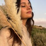 Sophie Charlotte Instagram - Últimos instantes de 2023 .