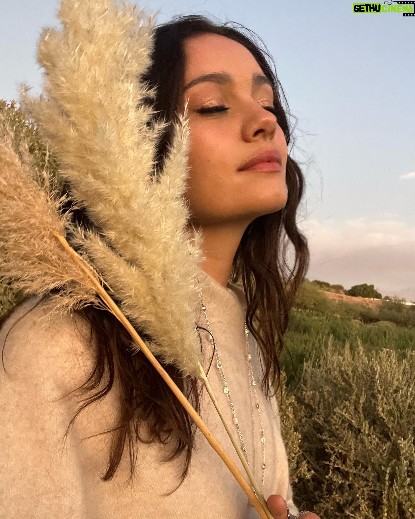 Sophie Charlotte Instagram - Últimos instantes de 2023 .
