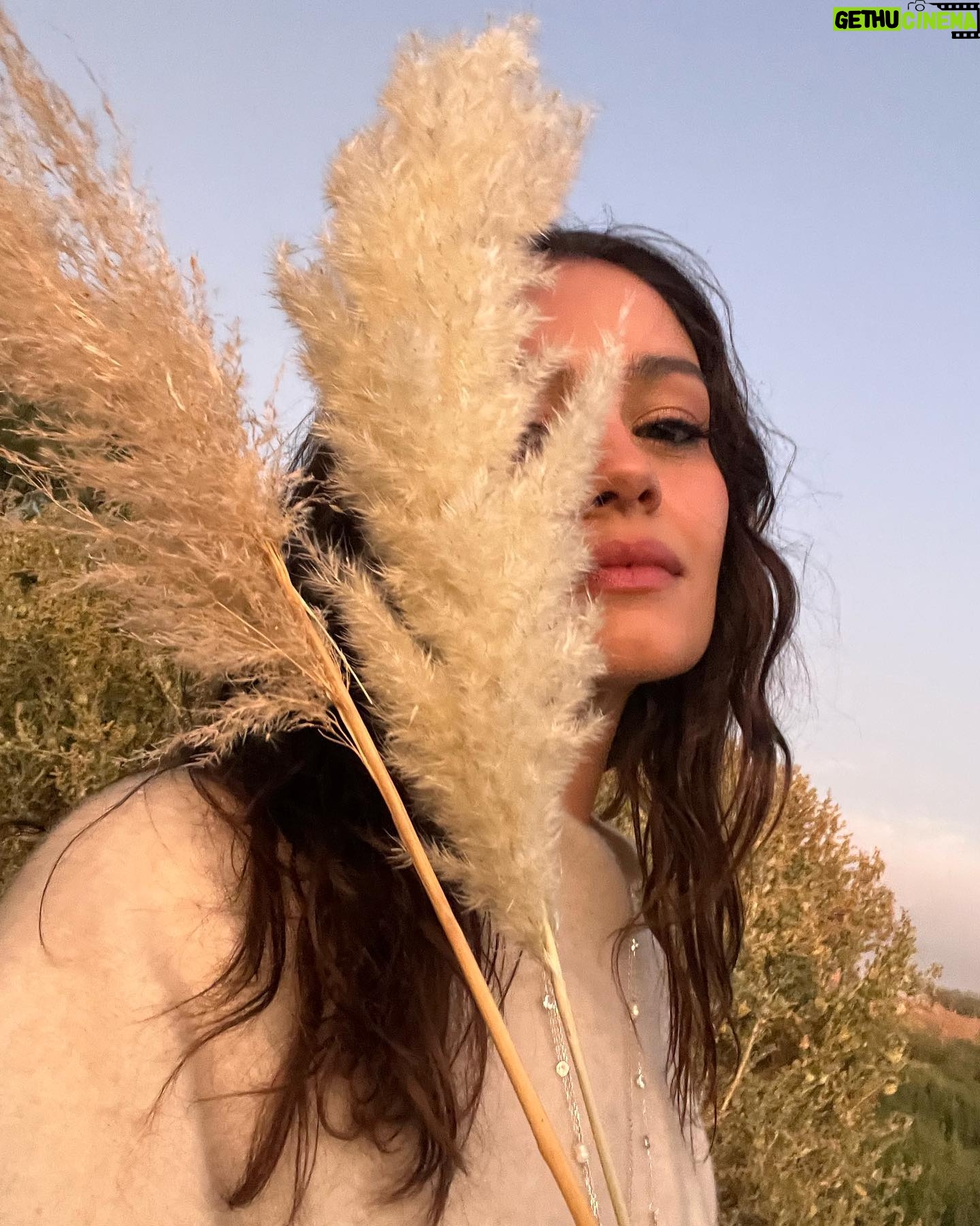 Sophie Charlotte Instagram - Últimos instantes de 2023 .