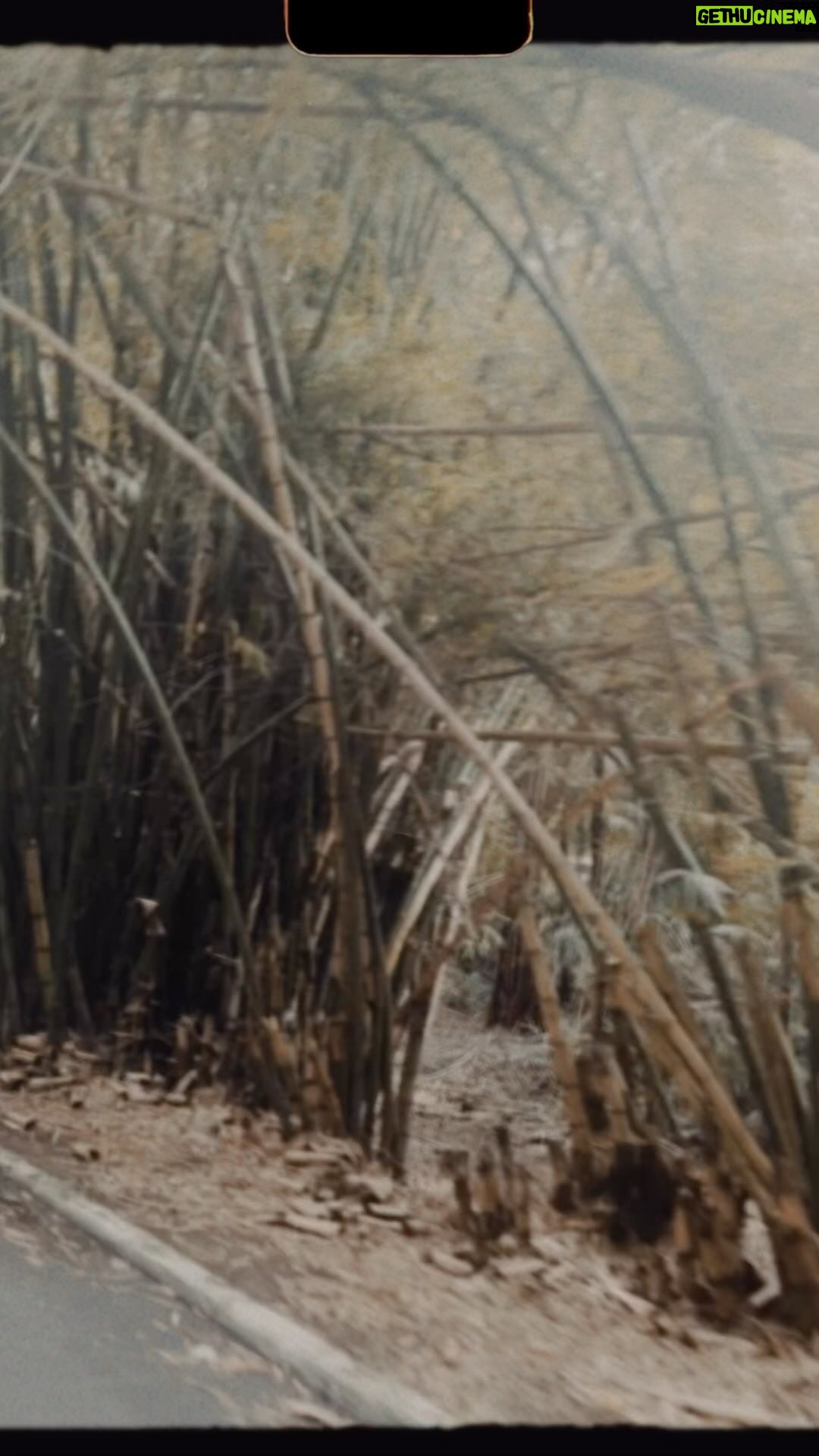 Sophie Charlotte Instagram - Momentos da minha viagem pra pré estreia baiana de @riododesejo . Como amo essa cidade! E foi lindo ver as salas cheias no @cinemethaglauberrocha ! Agradeço a estadia incomparável @fasano #fasanossa Cada detalhe pensado com carinho! Muitos mimos e muito amor ! Volto pro Rio cheia de gratidão por ter encontrado amigos queridos e ter estado mesmo que tão rápido em Salvador !