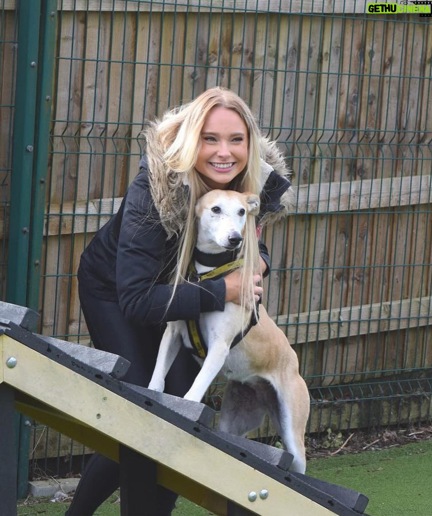 Sophie Lloyd Instagram - Feel so honoured to have been given the opportunity to visit @dogstrust_westlondon this week 🐶 We got to meet some of the incredible dogs in their care as well as the amazing staff and volunteers that dedicate their time to rehabilitating, training & loving these dogs to make sure they’ll find their perfect forever home 💛 There are so many dogs that need loving homes so make sure you always consider adoption when looking for a new family member Olive & Bree (Greyhounds) Sashta (German Shepard) @dogstrust #dogstrust #charity
