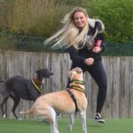 Sophie Lloyd Instagram – Feel so honoured to have been given the opportunity to visit @dogstrust_westlondon this week 🐶 We got to meet some of the incredible dogs in their care as well as the amazing staff and volunteers that dedicate their time to rehabilitating, training & loving these dogs to make sure they’ll find their perfect forever home 💛 
There are so many dogs that need loving homes so make sure you always consider adoption when looking for a new family member 

Olive & Bree (Greyhounds)
Sashta (German Shepard) 

@dogstrust #dogstrust #charity