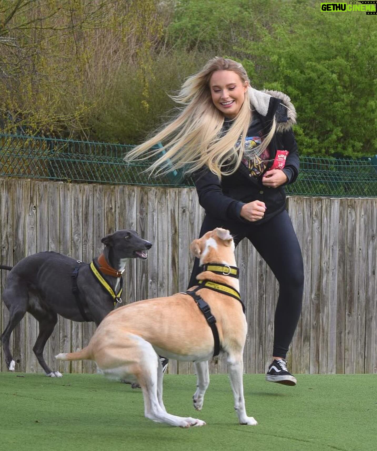 Sophie Lloyd Instagram - Feel so honoured to have been given the opportunity to visit @dogstrust_westlondon this week 🐶 We got to meet some of the incredible dogs in their care as well as the amazing staff and volunteers that dedicate their time to rehabilitating, training & loving these dogs to make sure they’ll find their perfect forever home 💛 There are so many dogs that need loving homes so make sure you always consider adoption when looking for a new family member Olive & Bree (Greyhounds) Sashta (German Shepard) @dogstrust #dogstrust #charity