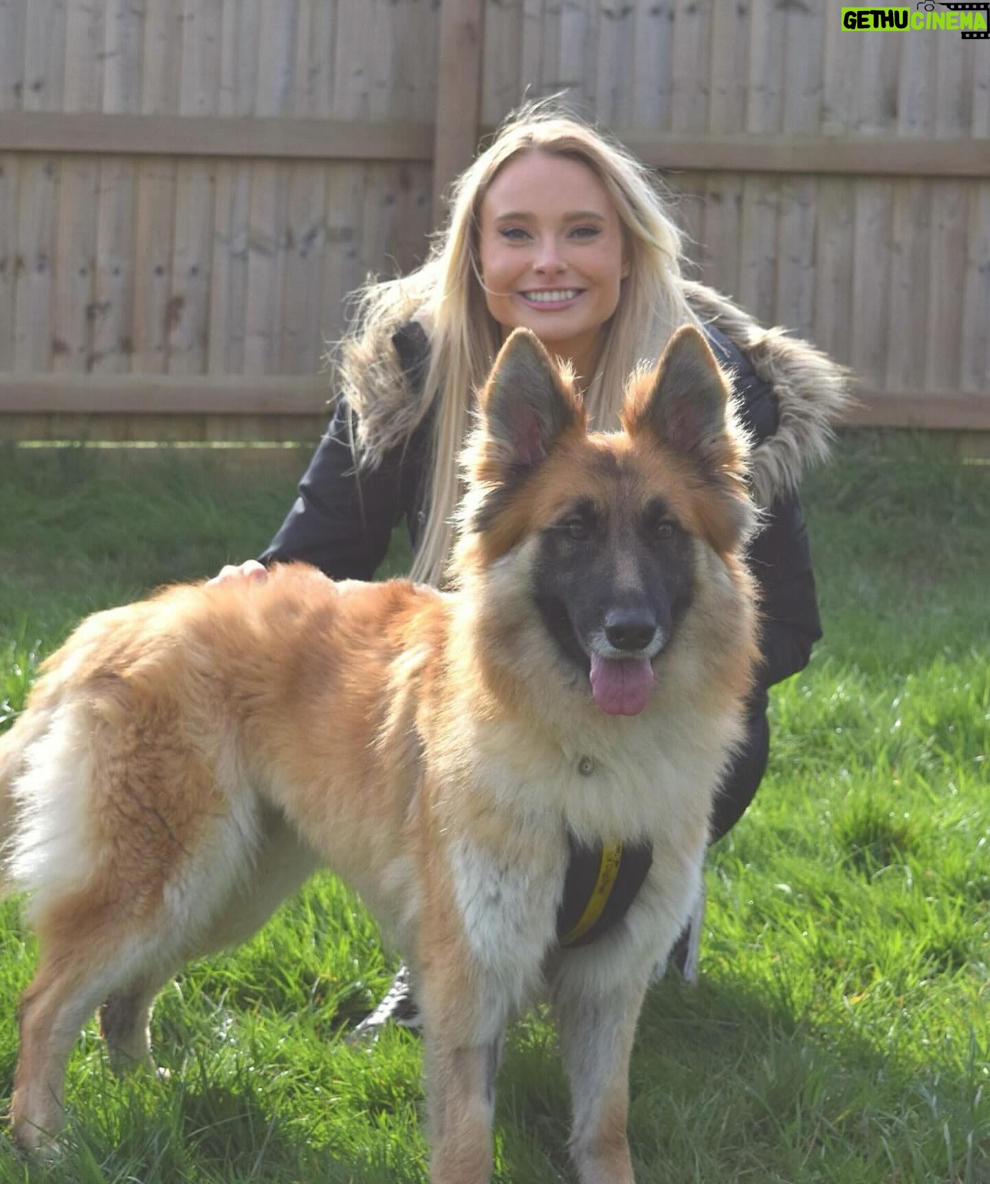 Sophie Lloyd Instagram - Feel so honoured to have been given the opportunity to visit @dogstrust_westlondon this week 🐶 We got to meet some of the incredible dogs in their care as well as the amazing staff and volunteers that dedicate their time to rehabilitating, training & loving these dogs to make sure they’ll find their perfect forever home 💛 There are so many dogs that need loving homes so make sure you always consider adoption when looking for a new family member Olive & Bree (Greyhounds) Sashta (German Shepard) @dogstrust #dogstrust #charity