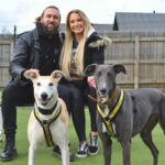 Sophie Lloyd Instagram – Feel so honoured to have been given the opportunity to visit @dogstrust_westlondon this week 🐶 We got to meet some of the incredible dogs in their care as well as the amazing staff and volunteers that dedicate their time to rehabilitating, training & loving these dogs to make sure they’ll find their perfect forever home 💛
There are so many dogs that need loving homes so make sure you always consider adoption when looking for a new family member
Olive & Bree (Greyhounds)
Sashta (German Shepard)
@dogstrust #dogstrust #charity