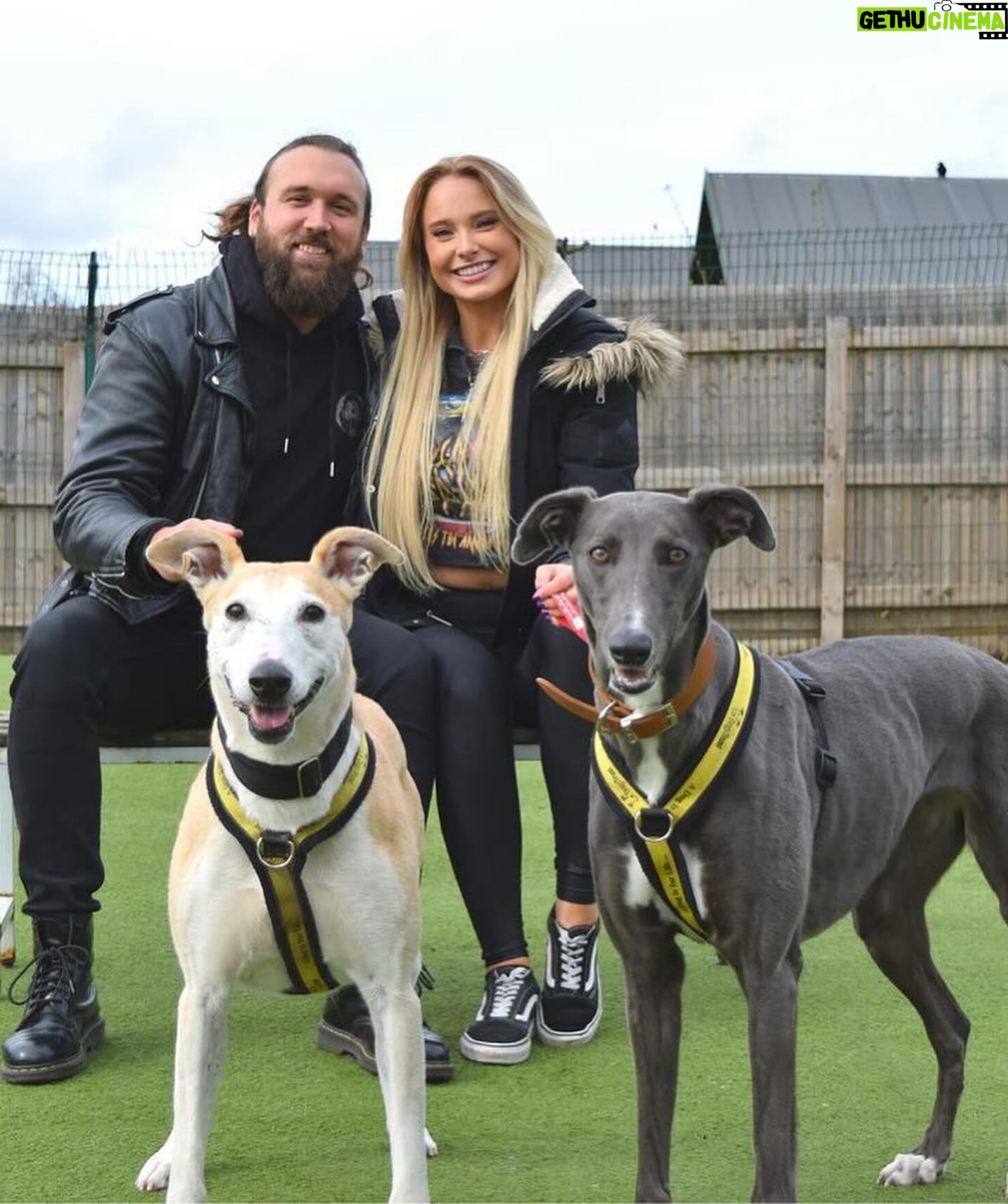 Sophie Lloyd Instagram - Feel so honoured to have been given the opportunity to visit @dogstrust_westlondon this week 🐶 We got to meet some of the incredible dogs in their care as well as the amazing staff and volunteers that dedicate their time to rehabilitating, training & loving these dogs to make sure they’ll find their perfect forever home 💛 There are so many dogs that need loving homes so make sure you always consider adoption when looking for a new family member Olive & Bree (Greyhounds) Sashta (German Shepard) @dogstrust #dogstrust #charity