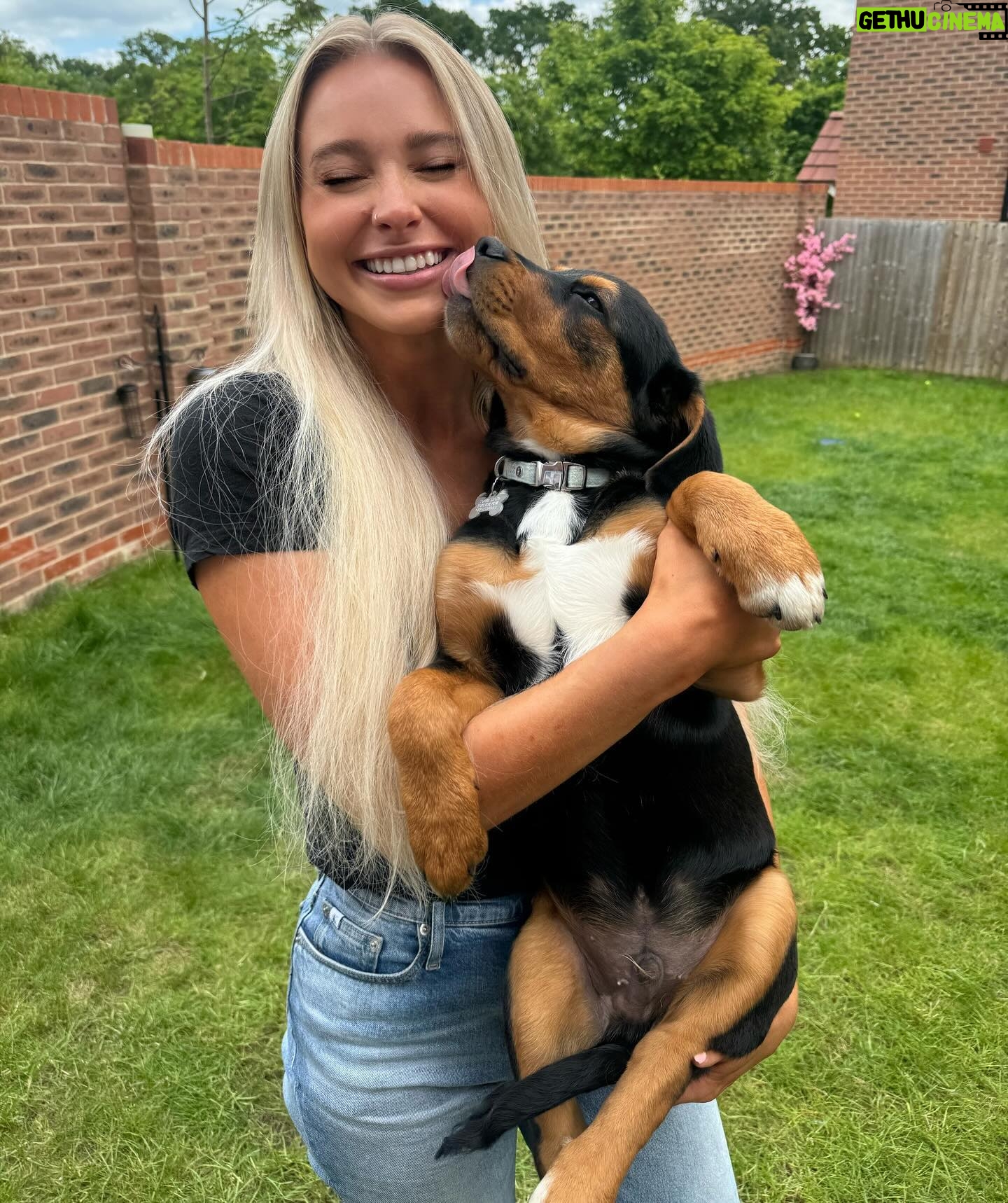 Sophie Lloyd Instagram - Please welcome our gorgeous boy Kobe to the family! Kobe was abandoned with his mum and siblings in Ireland and taken into the care of @dogstrust_cumbria , after hearing his story we drove up to meet him and fell in love so we adopted him the same day! 🖤 He’s the most perfect pup and has so much love to give, We’re so excited for all the adventures we’ll go on and memories we’ll make together. Thankyou so much to @dogstrust for saving Kobe and bringing us together 💛 #dogstrust #dogstrustdog #dogsofinstagram #puppy #puppylove