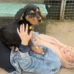 Sophie Lloyd Instagram – Please welcome our gorgeous boy Kobe to the family! Kobe was abandoned with his mum and siblings in Ireland and taken into the care of @dogstrust_cumbria , after hearing his story we drove up to meet him and fell in love so we adopted him the same day! 🖤 He’s the most perfect pup and has so much love to give, We’re so excited for all the adventures we’ll go on and memories we’ll make together. Thankyou so much to @dogstrust for saving Kobe and bringing us together 💛
#dogstrust #dogstrustdog #dogsofinstagram #puppy #puppylove