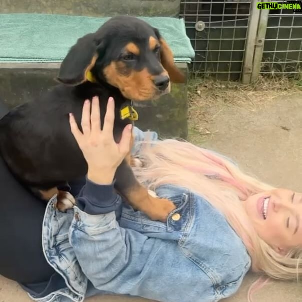 Sophie Lloyd Instagram - Please welcome our gorgeous boy Kobe to the family! Kobe was abandoned with his mum and siblings in Ireland and taken into the care of @dogstrust_cumbria , after hearing his story we drove up to meet him and fell in love so we adopted him the same day! 🖤 He’s the most perfect pup and has so much love to give, We’re so excited for all the adventures we’ll go on and memories we’ll make together. Thankyou so much to @dogstrust for saving Kobe and bringing us together 💛 #dogstrust #dogstrustdog #dogsofinstagram #puppy #puppylove