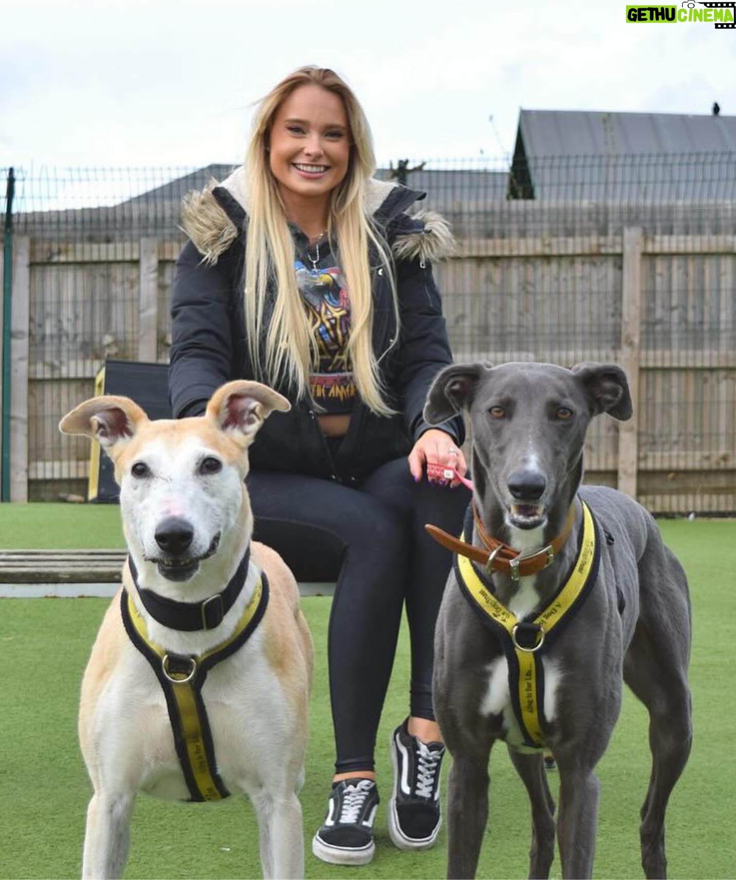 Sophie Lloyd Instagram - Feel so honoured to have been given the opportunity to visit @dogstrust_westlondon this week 🐶 We got to meet some of the incredible dogs in their care as well as the amazing staff and volunteers that dedicate their time to rehabilitating, training & loving these dogs to make sure they’ll find their perfect forever home 💛 There are so many dogs that need loving homes so make sure you always consider adoption when looking for a new family member Olive & Bree (Greyhounds) Sashta (German Shepard) @dogstrust #dogstrust #charity