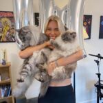 Sophie Lloyd Instagram - So over the weekend I reached 1 MILLION YouTube subscribers!! This has been something I’ve wanted to achieve for so long, I still remember posting my first ever video thinking ‘if 20 people see this I’ll be happy’ and now here I am 🥹 I try not to put to much value in numbers as that can make you go crazy, but this is just such a special moment for me I wanted to share it with you guys. Thankyou so much to everyone that’s subscribed over the years, and everyone that’s ever liked, commented, shared or viewed my videos on YouTube, even the haters!! ❤️ I also just want to say a massive Thankyou to @painter_1989 who is the man behind the scenes, helping film, edit and produce all my videos, I could never have done it without you. It might be my name, but it’s our channel 💕 Also thanks to @didsbakes for the amazing cake!! #youtube #1million #celebrate #guitar #guitarist #guitaristofinstagram #cake #milestone