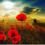 Sophie Monk Instagram - Lest we forget❤️. Thank you for fighting and falling under our flags 🇦🇺 🇳🇿 🙌 Sending everyone on the frontline so much love. In true ANZAC spirit. Our healthcare workers,  the nurses, the doctors, the cleaners, ambos – all of you who are risking it all to keep us safe...All the essential workers, the shelf stackers, check out assistants at the supermarkets our teachers, our defence force our police our café workers. You’re bloody legends. 🙌Thank you for working so hard... Hope everyone’s keeping safe. Sending so much love . Love, Monkey 😉