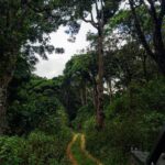 Sreenath Bhasi Instagram - Explore.