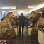 Sridevi Instagram - My lion with lions 🦁