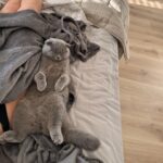 Stéphanie Clerbois Instagram - RELAX 🤍🐈‍⬛